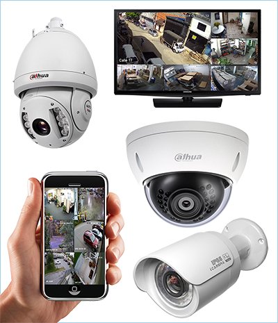 flota Grillo liebre Sistemas CCTV y Vigilancia IP